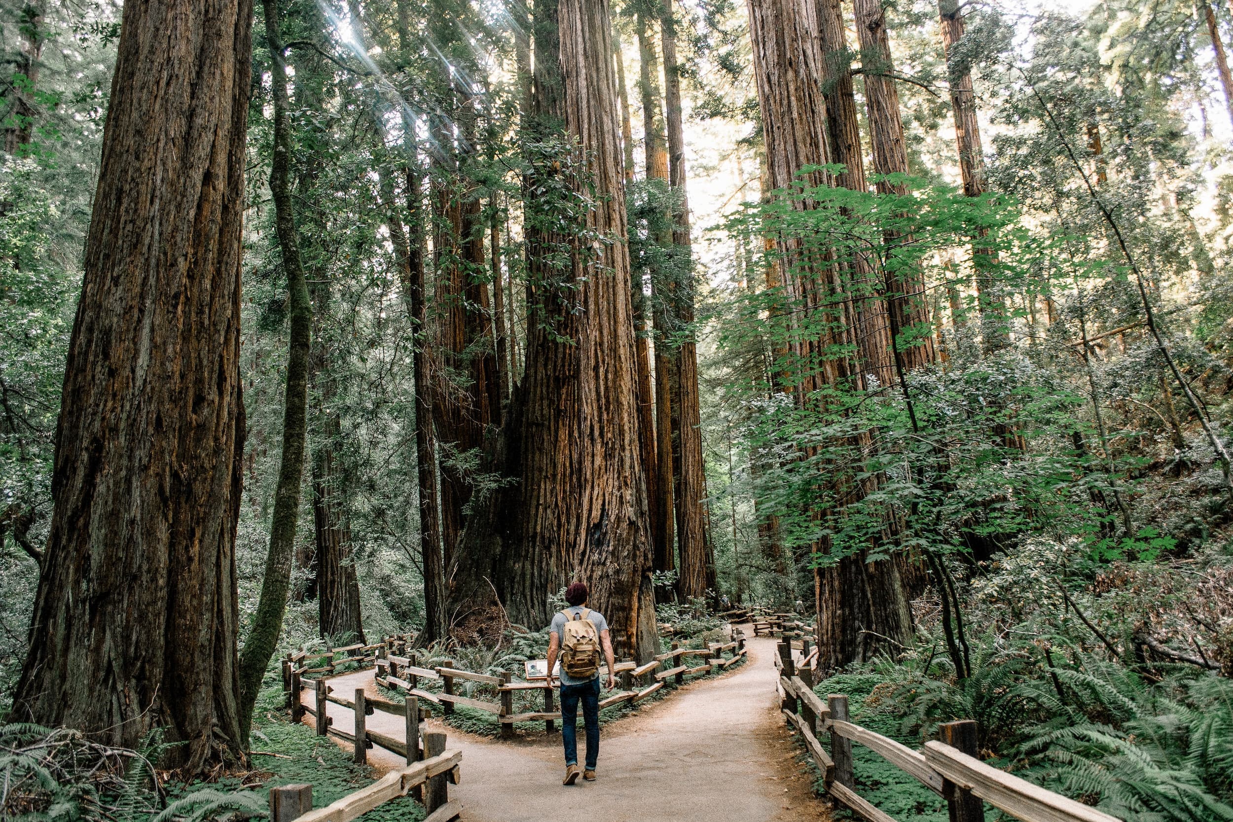 Convention over Configuration with RedwoodJS